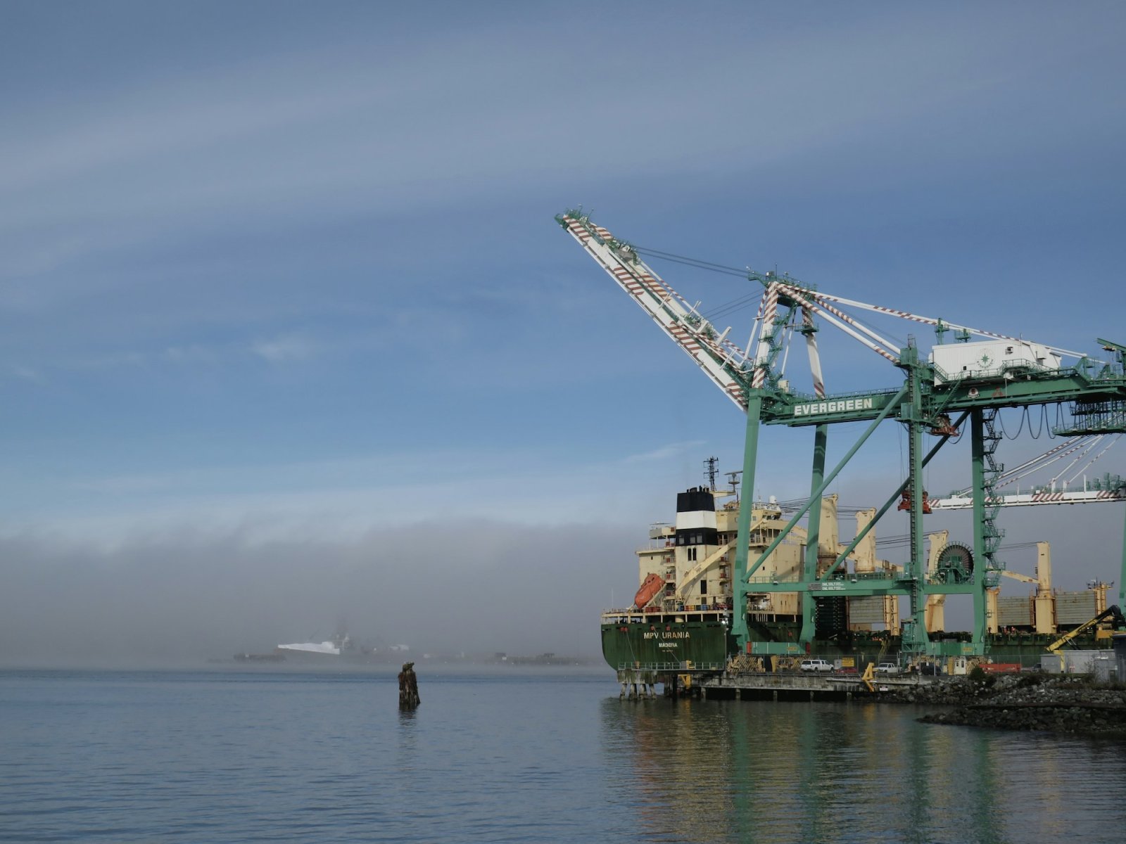 Cargo cranes at a Puget Sound port