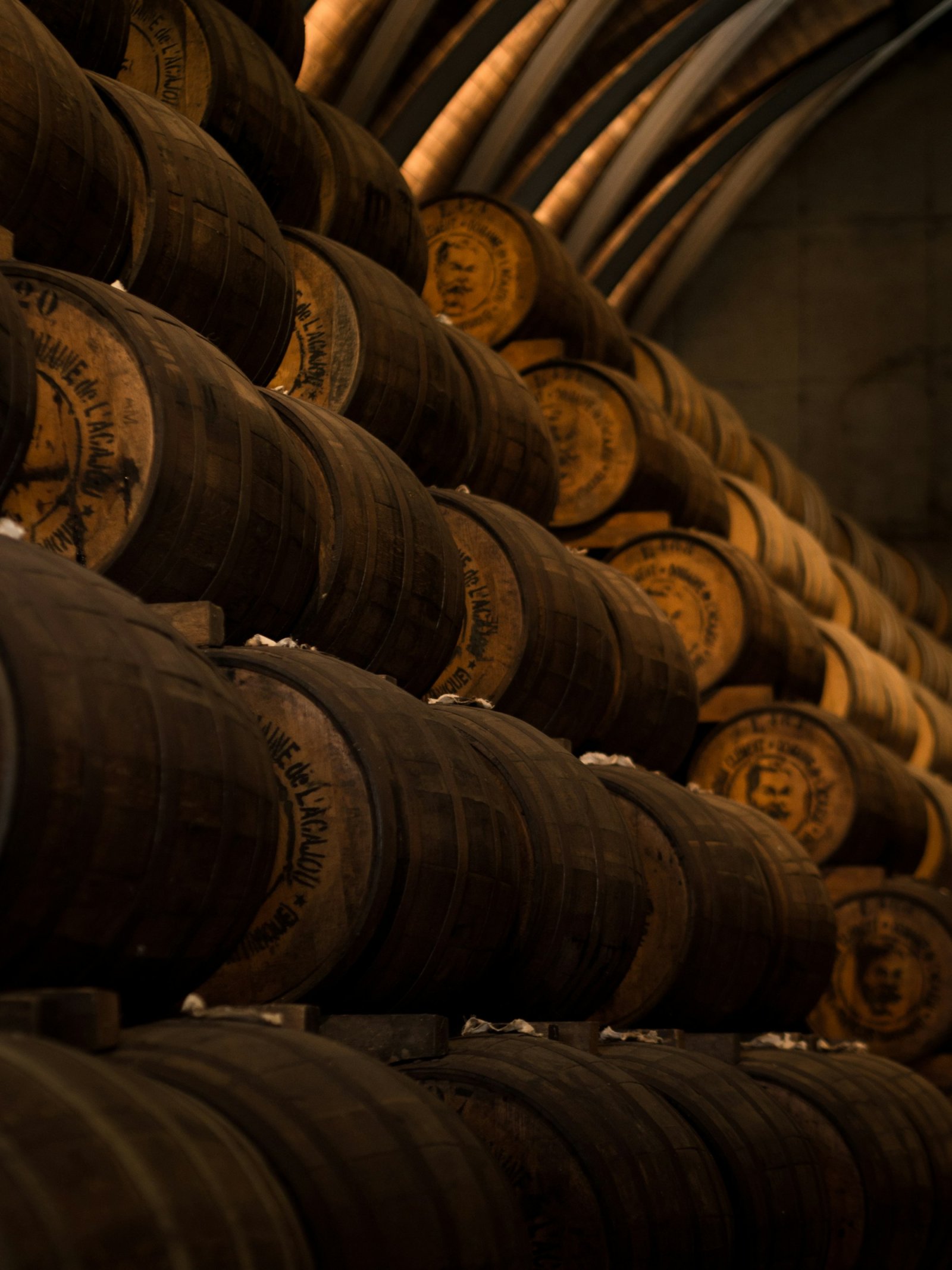 Oak wine barrels stacked in a cellar